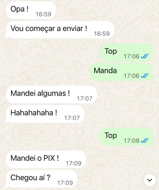 Conversa real com cliente confirmando o Pix de um link na bio